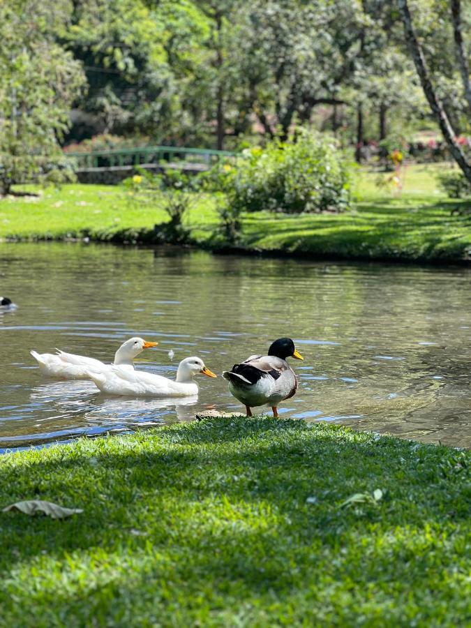 La Casa De Los Patos El Valle de Anton ภายนอก รูปภาพ